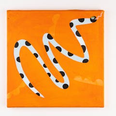 Serpiente-naranja